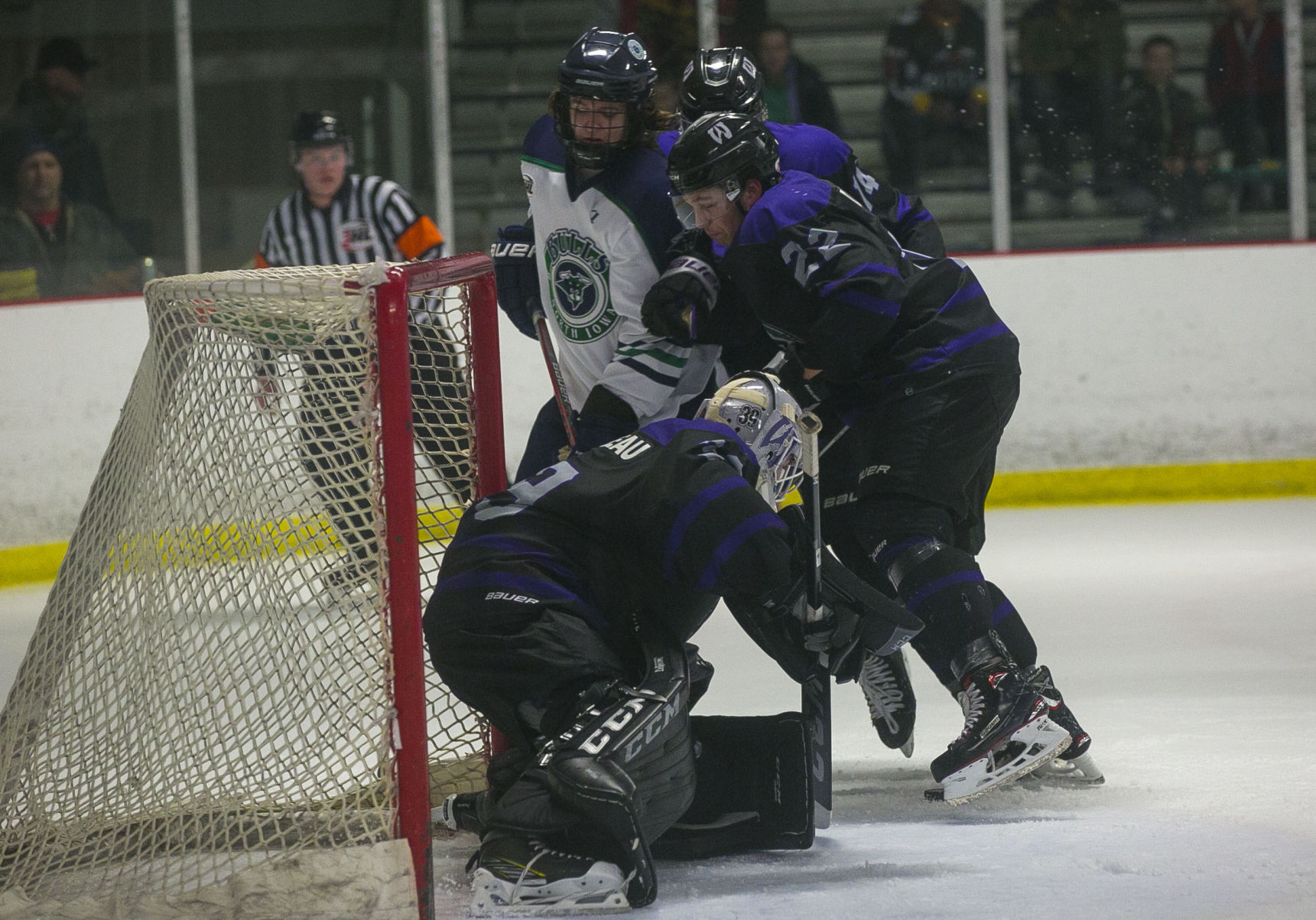 Hockey Bulls vs. Wausau 16